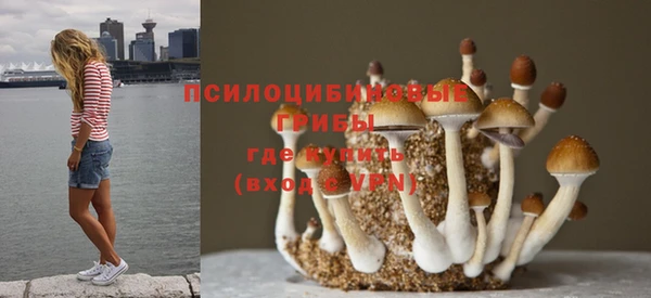 ГАЛЛЮЦИНОГЕННЫЕ ГРИБЫ Алексеевка