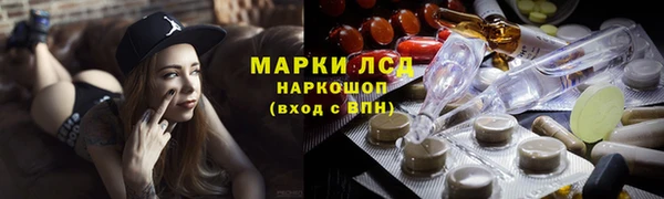 индика Алзамай