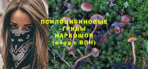 кокаин колумбия Алексин