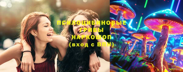 ГАЛЛЮЦИНОГЕННЫЕ ГРИБЫ Алексеевка