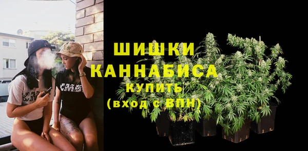 ПСИЛОЦИБИНОВЫЕ ГРИБЫ Аркадак