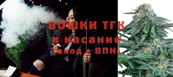 индика Алзамай