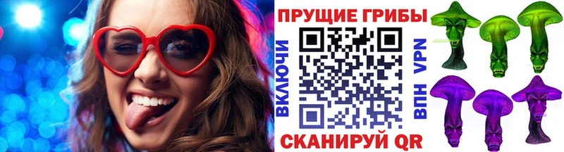 Псилоцибиновые грибы мухоморы  купить наркоту  Островной 